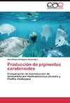 Producción de pigmentos carotenoides