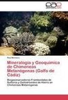 Mineralogía y Geoquímica de Chimeneas Metanógenas (Golfo de Cádiz)