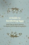 A Guide to Incubating Eggs - With Tips on Bird's Natural Incubation and Artificial Incubation