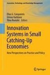 Innovation Systems in Small Catching-Up Economies