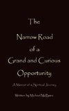 The Narrow Road of a Grand and Curious Opportunity