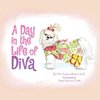 A Day in the Life of Diva