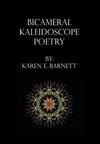 Bicameral Kaleidoscope Poetry