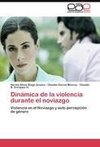 Dinámica de la violencia durante el noviazgo