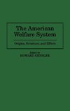 The American Welfare System