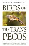 Birds of the Trans-Pecos