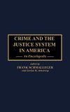 Crime and the Justice System in America