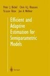 Efficient and Adaptive Estimation for Semiparametric Models