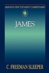 Abingdon New Testament Commentary - James