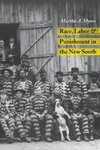 RACE LABOR PUNISHMENT IN NEW SOUTH