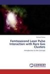 Femtosecond Laser Pulse Interaction with Rare Gas Clusters