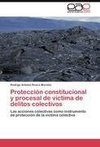 Protección constitucional y procesal de  víctima de delitos colectivos