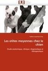 Les otites moyennes chez le chien