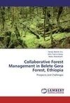 Collaborative Forest Management in Belete Gera Forest, Ethiopia