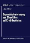 Eigenmittelunterlegung von Zinsrisiken bei Kreditinstituten