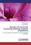 Division of corms for increasing planting material of gladiolus