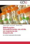 Nitrificación-Desnitrificación vía nitrito en reactores de biopelícula