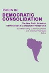 Issues in Democratic Consolidation