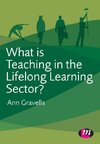 What is Teaching in the Lifelong Learning Sector?