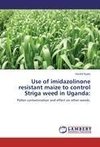 Use of imidazolinone resistant maize to control Striga weed in Uganda: