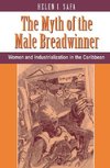 Safa, H: The Myth Of The Male Breadwinner