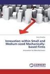 Innovation within Small and Medium-sized  Mechanically-based Firms