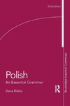 Polish: An Essential Grammar