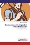 Socio-economic Impact of Industrialisation