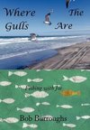 Where the Gulls Are