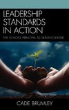 Leadership Standards for Action