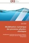 Modélisation numérique des processus physico-chimiques