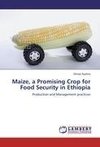 Maize, a Promising Crop for Food Security in Ethiopia