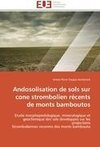 Andosolisation de sols sur cone strombolien récents de monts bamboutos