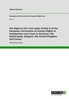 The Right to Fair Trial under Article 6 of the European Convention on Human Rights in Immigration Law Cases in Germany, the Netherlands, Belgium, the United Kingdom and Turkey