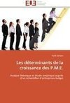 Les déterminants de la croissance des P.M.E.