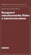 Management makroökonomischer Risiken in Industrieunternehmen