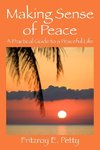 Making Sense of Peace