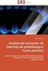 Analyse de structures de flammes de prémélange à haute pression