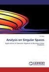 Analysis on Singular Spaces