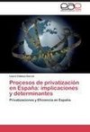 Procesos de privatización en España: implicaciones y determinantes