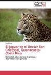 El jaguar en el Sector San Cristóbal, Guanacaste-Costa Rica