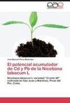 El potencial acumulador de Cd y Pb de la Nicotiana tabacum L