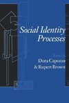 Social Identity Processes