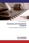 Anatomy of Investment Projects