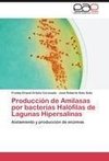 Producción de Amilasas por bacterias Halófilas de Lagunas Hipersalinas