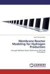 Membrane Reactor Modeling for Hydrogen Production