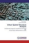 Urban Spatial Structure Analysis