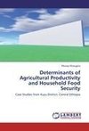 Determinants of Agricultural Productivity and Household Food Security