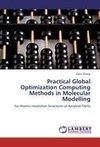 Practical Global Optimization Computing Methods in Molecular Modelling