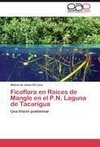 Ficoflora en Raíces de Mangle en el P.N. Laguna de Tacarigua